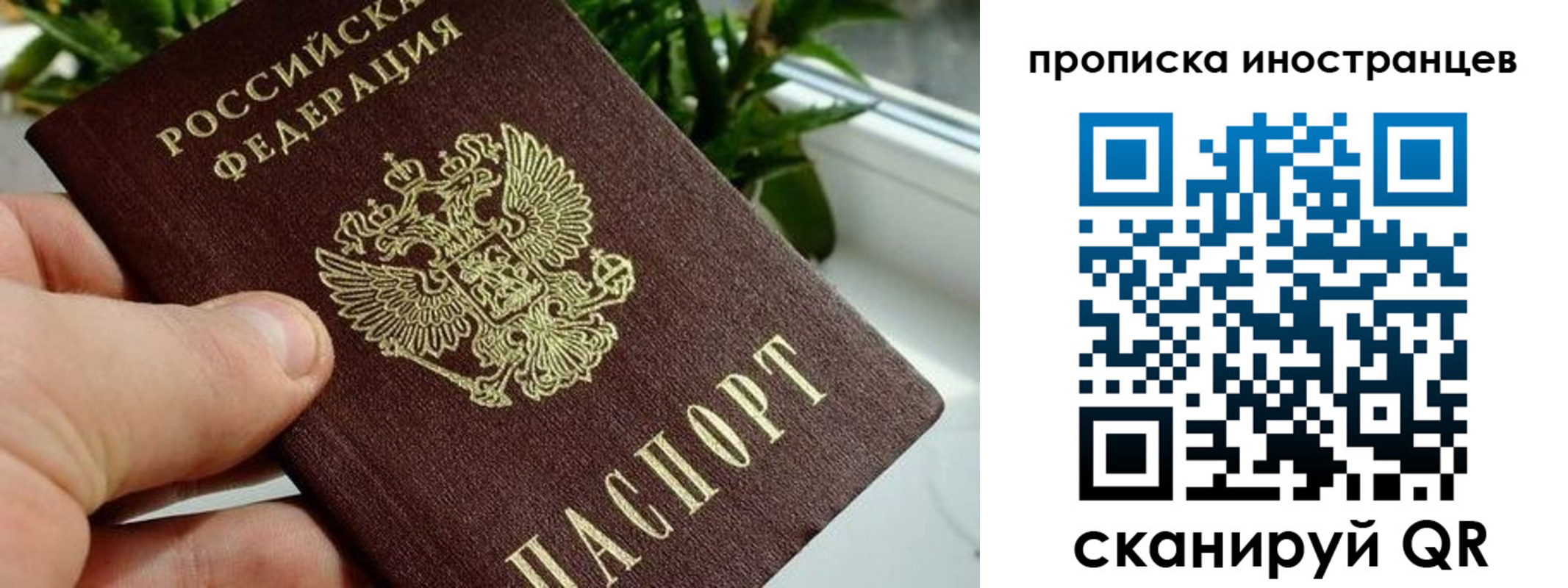 временная регистрация в Сосенском